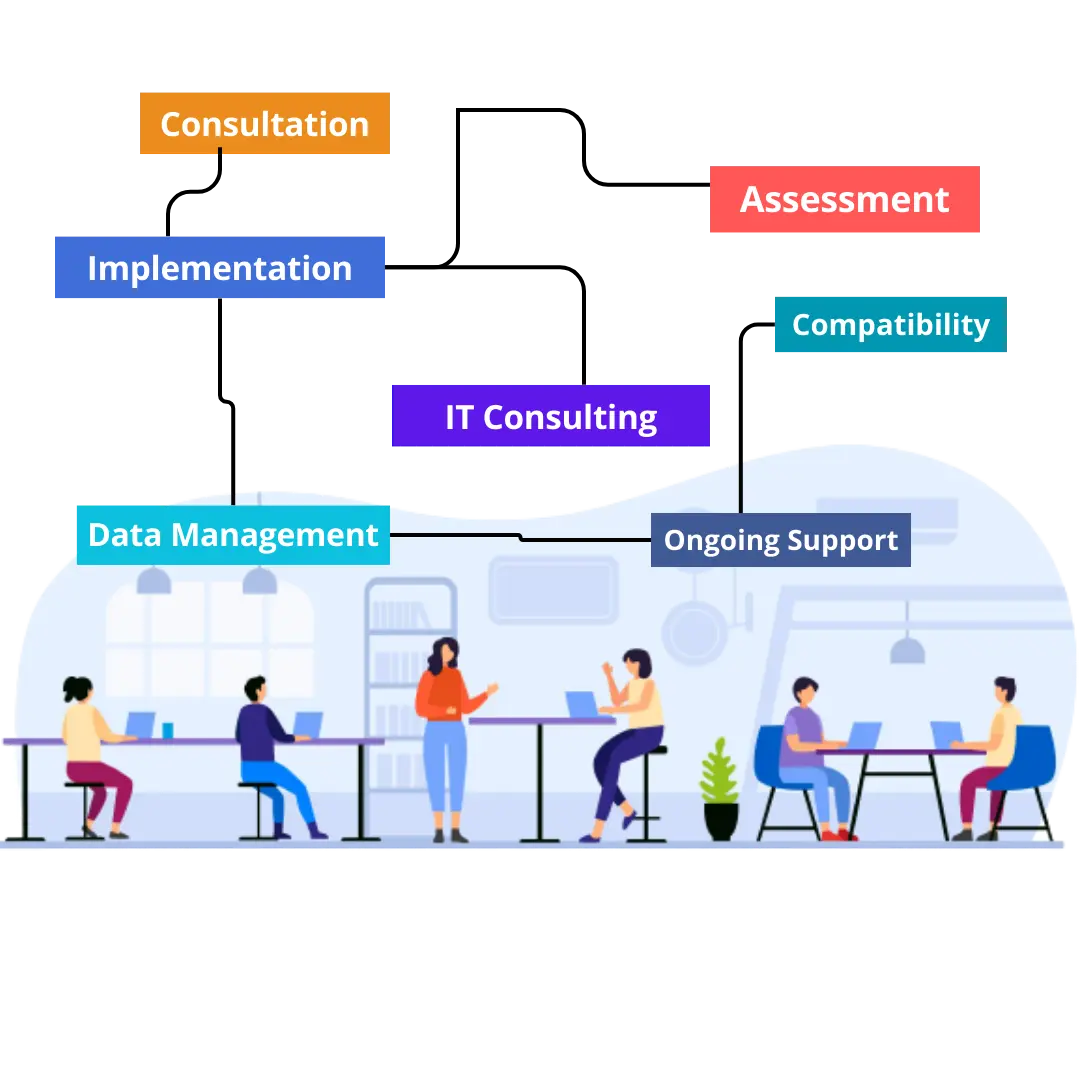 IT Consulting